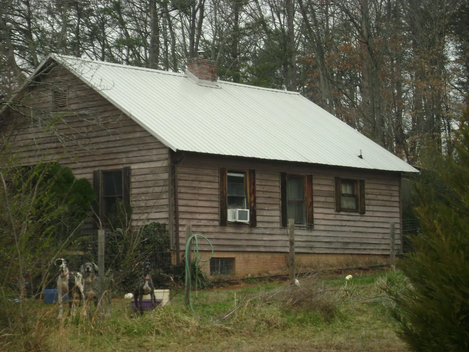 White metal roof on an old wood sided farmhouse, from a Asphalt Shingle Roof Repair job in Homeland